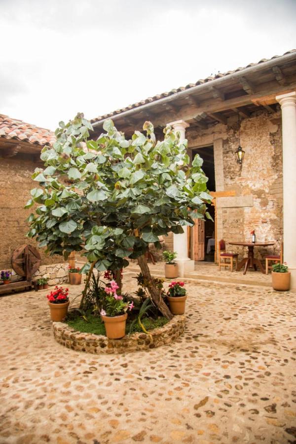 Hotel Casa De Gandhi San Cristobal de las Casas Luaran gambar